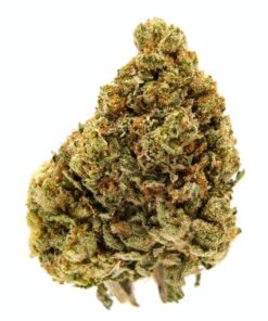 Devil's Cookies