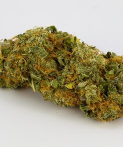 Georgia Pie