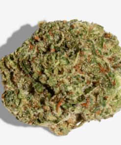 Chem De La Chem
