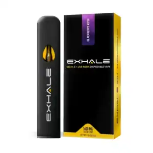 Exhale Wellness Delta 8 Live Resin Disposable Vape | 2g