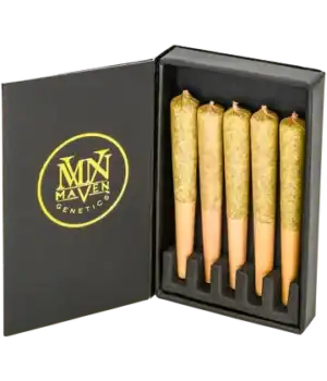 Golden Applez Pre-Roll 5-Pack [2.5g]