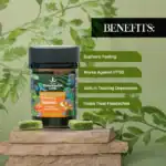 Magic Mushroom Infused Gummies