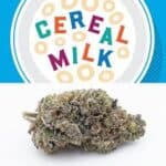 CEREAL MILK