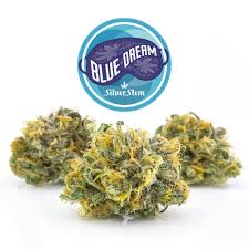 BLUE DREAM-MOON ROCK