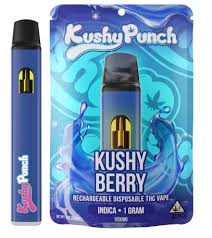 Kushy Berry [1000mg] | Kushy Punch | All-In-One Pen