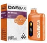 Watermelon Z ~ Disposable Vape Pen | DABWOODS All in One 1G