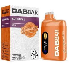 Watermelon Z ~ Disposable Vape Pen | DABWOODS All in One 1G
