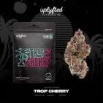 TROP CHERRY-Flower