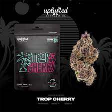 TROP CHERRY-Flower